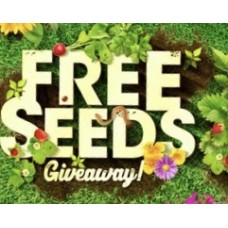 3 x Packets of Vegetable or Flower Seeds 2023 Promo